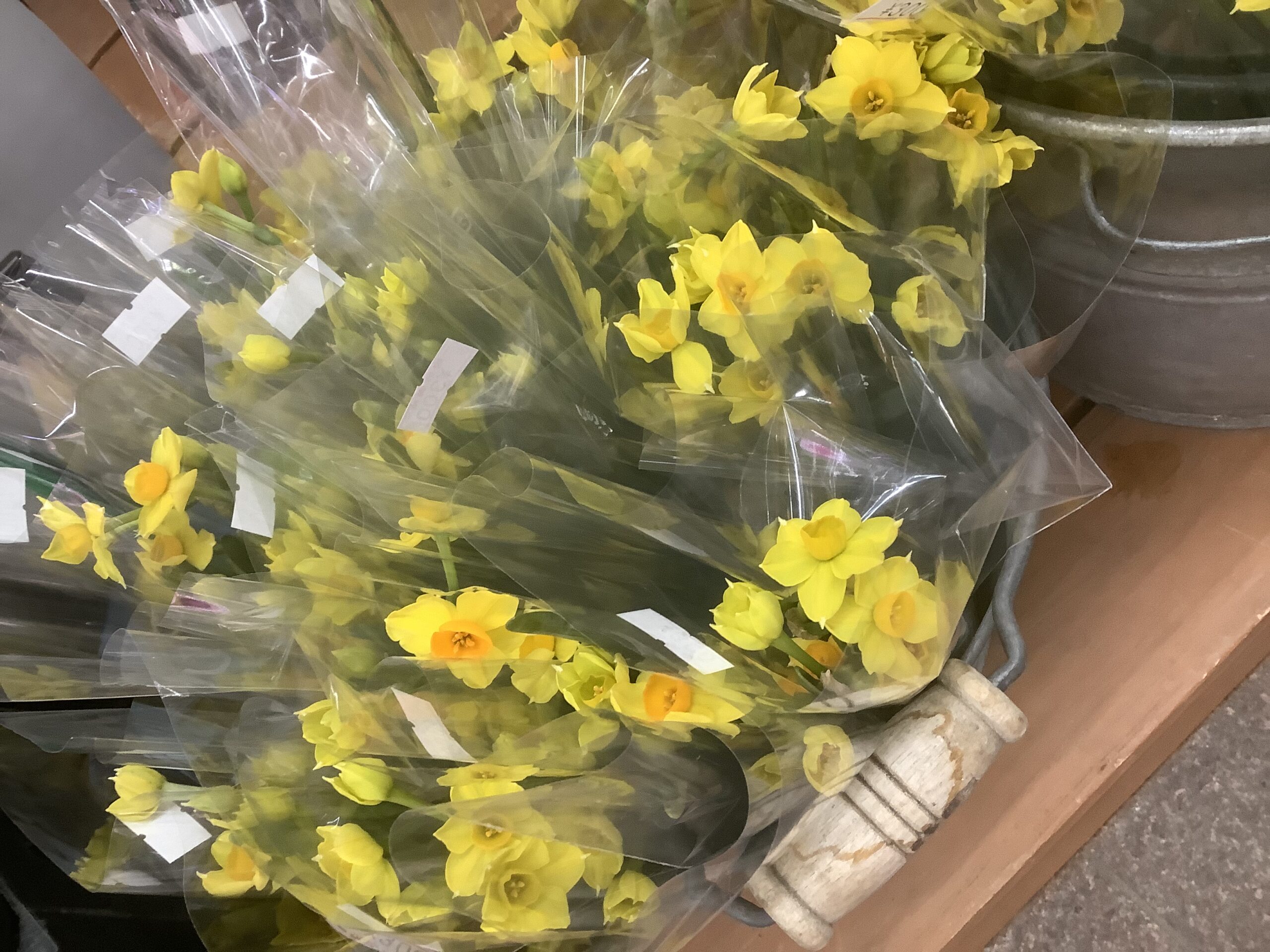 東京 西葛西のお花屋さん 東京フラワーマーケット トップページ